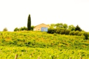Винодельный завод в Италии продажа