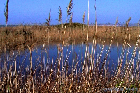 Недвижимость в Италии на море